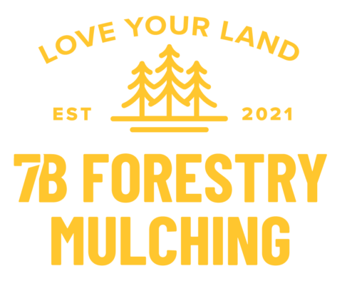 Home | 7B Forestry Mulching